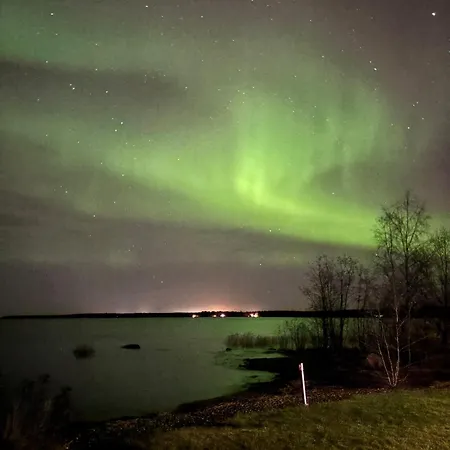 Lehmis Oulu